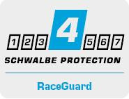 protection-4-raceguard-142d0d23.png