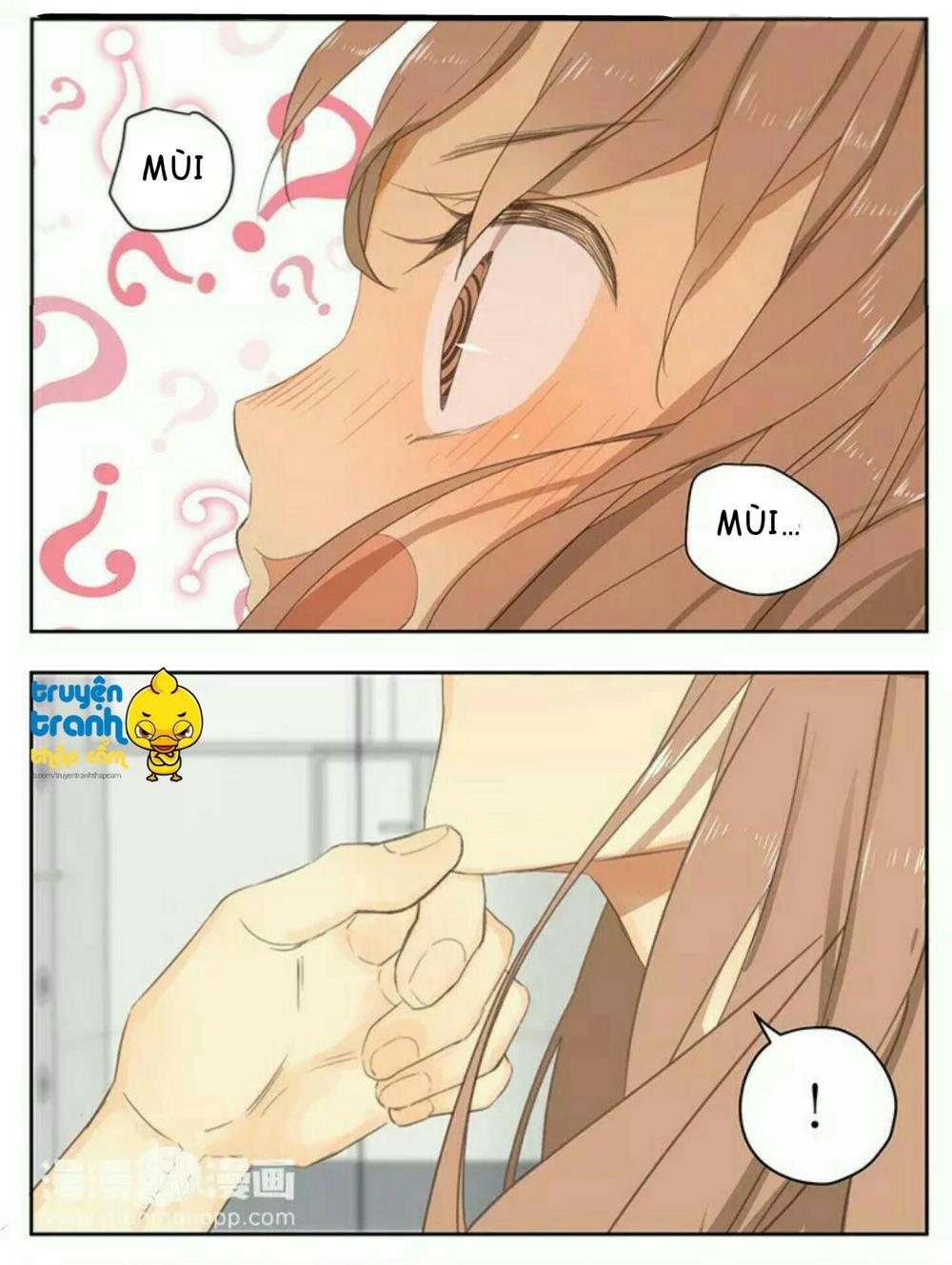 cứu mạng ! loài mèo thống trị thế giới rồi ! chapter 36 21