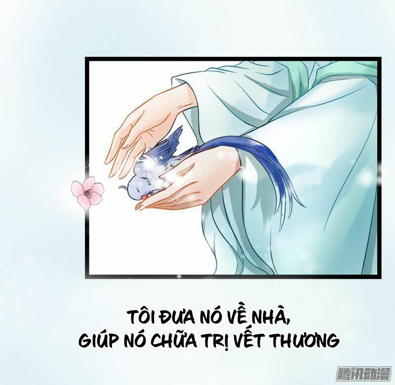 tình nhân kiếp trước là vĩ hồ chapter 1 5