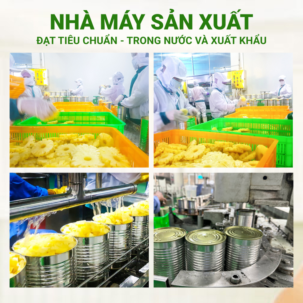 Dứa Khoanh Ngâm Nước Đường F&amp;G Loại 1 - Lon 565gr