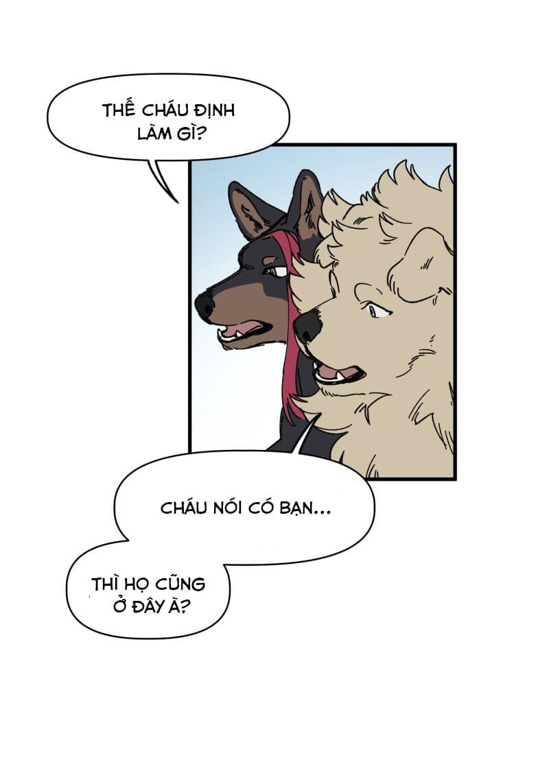 lumine - cội nguồn ánh sáng chapter 139 15