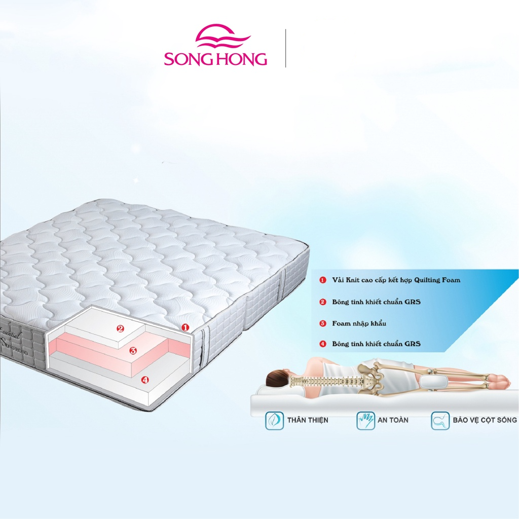 Đệm bông tinh khiết sông hồng cao cấp back essential