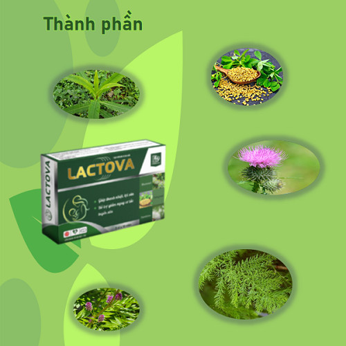 Viên uống lợi sữa LACTOVA - Tăng tiết sữa, thông tuyến sữa phụ nữ sau sinh - Nhà máy liên doanh với Medinej - USA và đạt chuẩn GMP - WHO