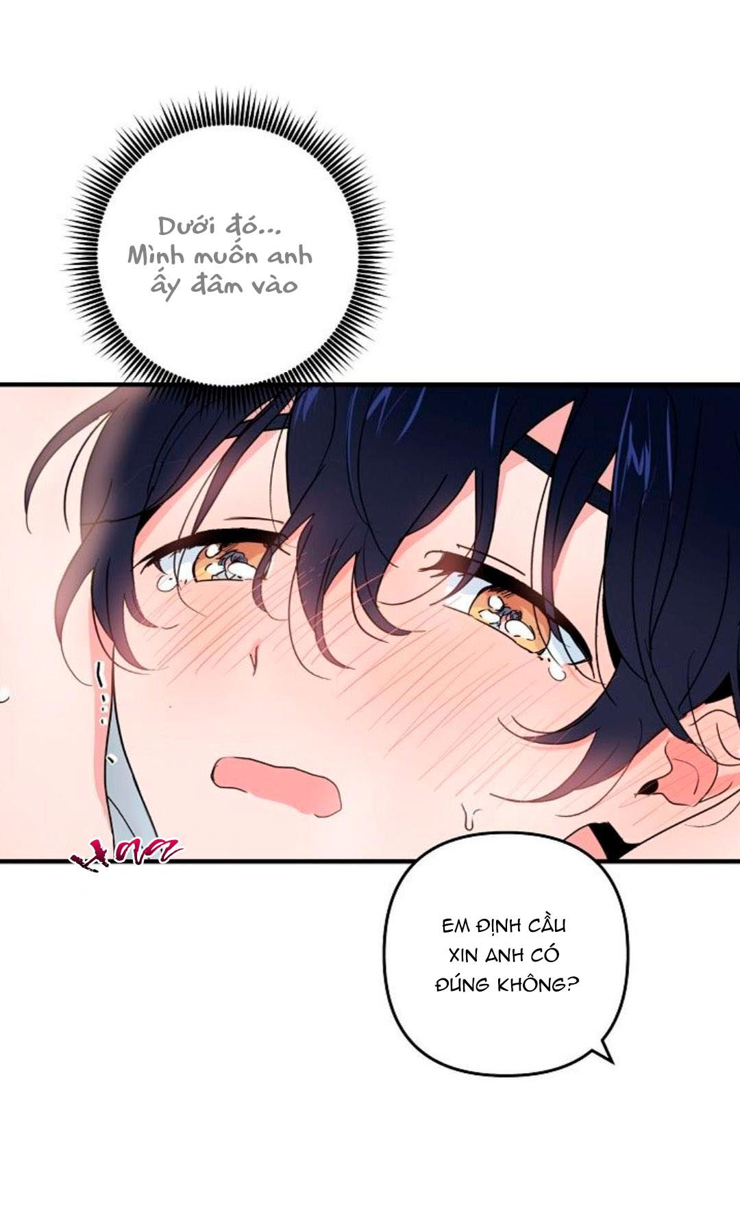 tình yêu cún con chapter 11.1 26