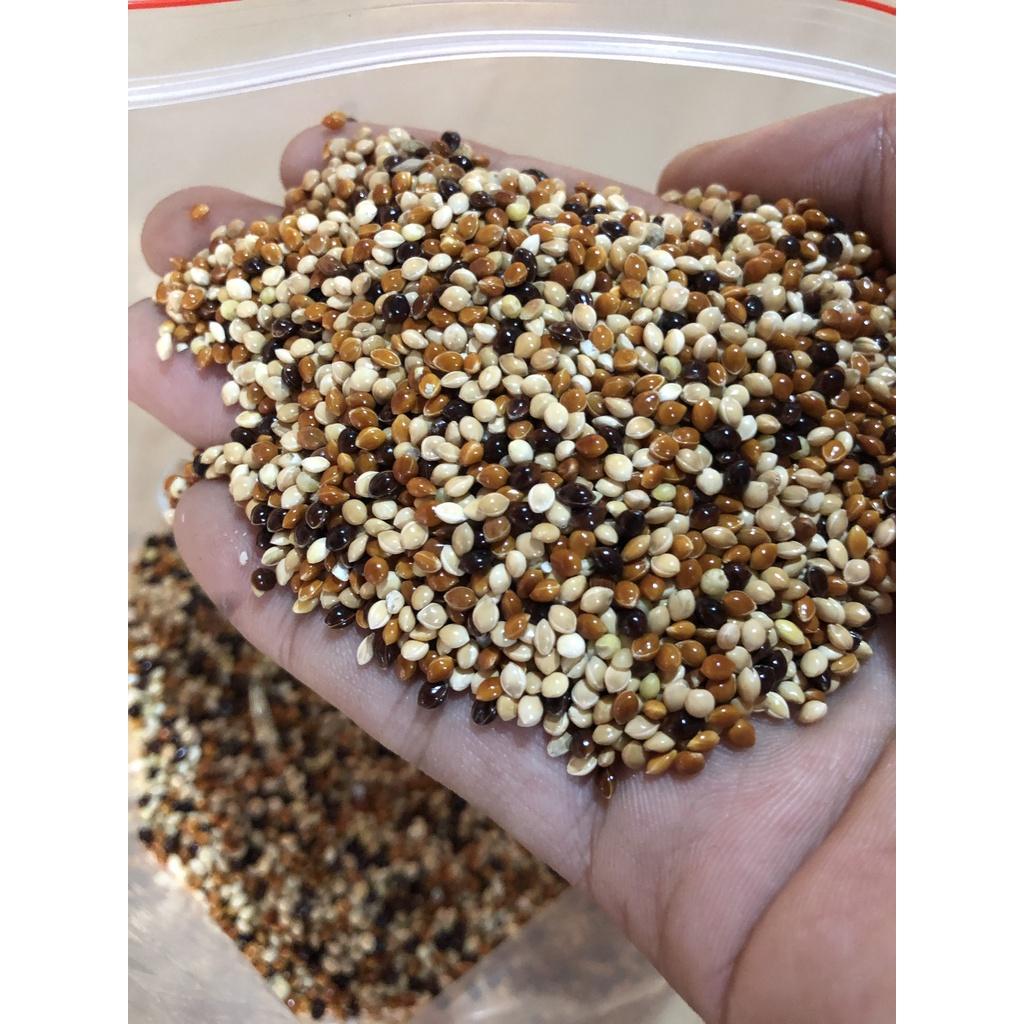 2KG cỏ thái thức ăn chim cu gáy ,giúp chim khỏe gáy sung và sinh sản hiệu quả, chất lượng cao 100%