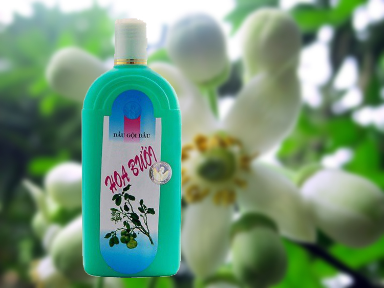 Dầu Gội Hoa Bưởi Thorakao 500ml