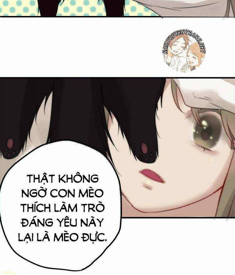 viện bảo tàng tâm nguyện chapter 2.1 37