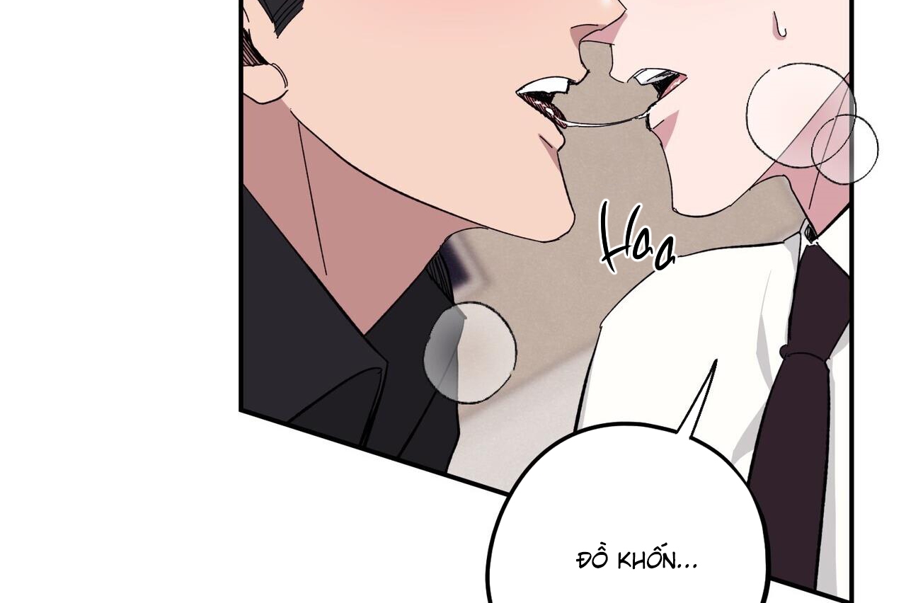 chàng dâu nhà họ kang chapter 33 179