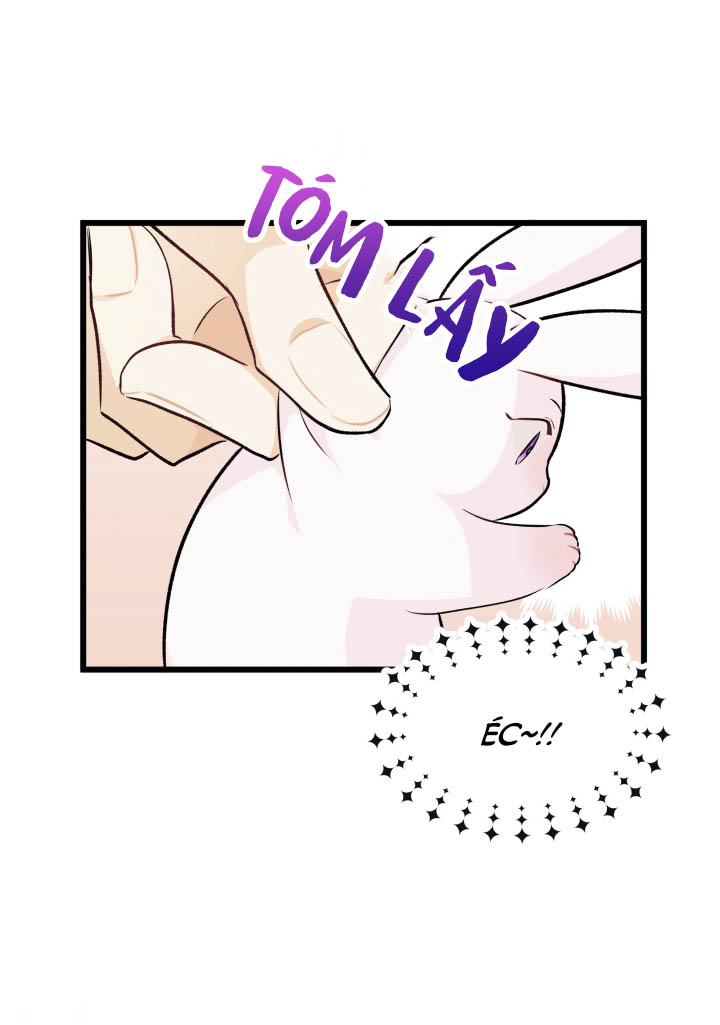 mối liên kết giữa báo đen và bé thỏ chapter 6 48