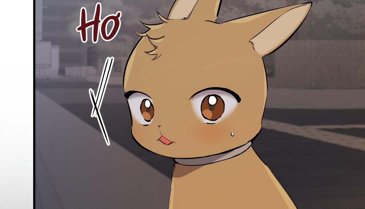 đàn thỏ của habibi chapter 47 274