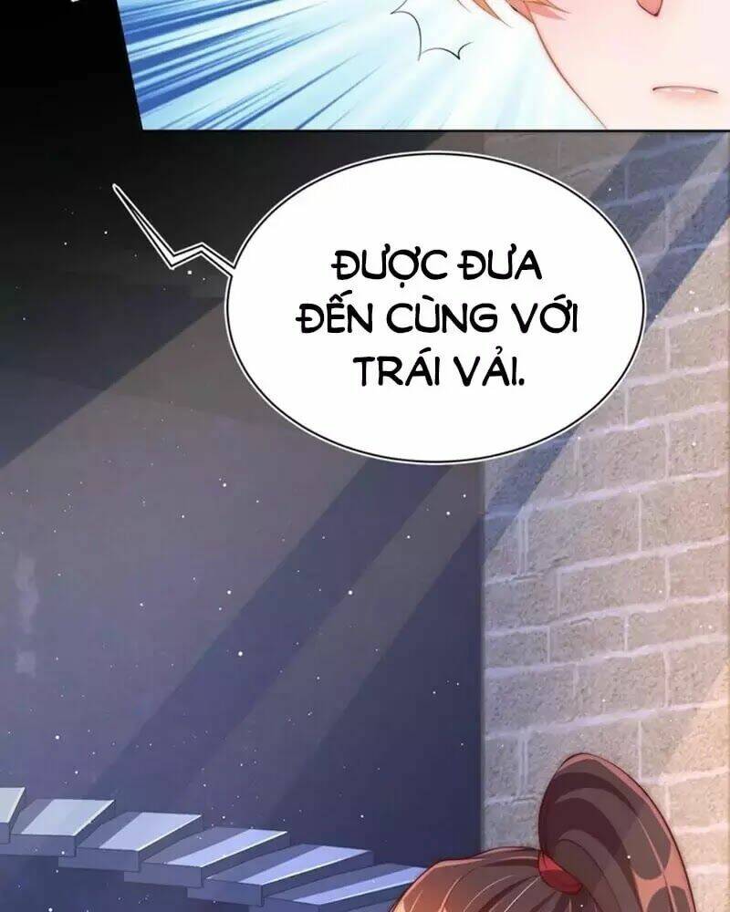 công chúa tại thượng: quốc sư mời xuống kiệu chapter 33 49