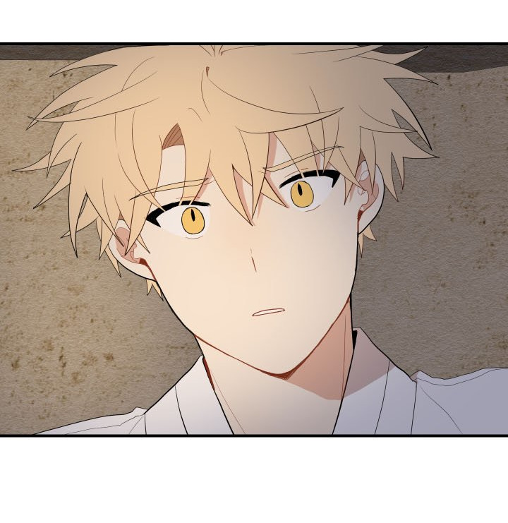 đường hoa liên kiều rơi chapter 24 34