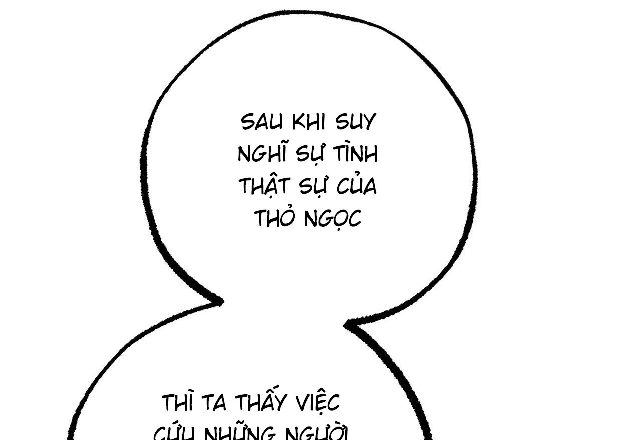 những chú thỏ của hapypy chapter 62 130