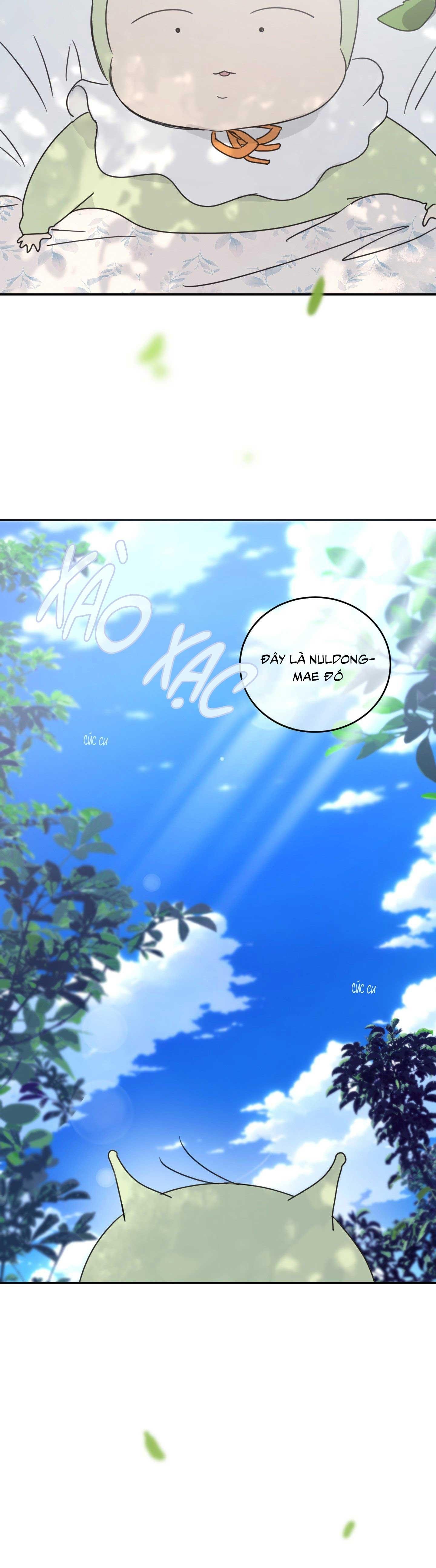 ngôi nhà hướng mặt trời mọc chapter 40 16