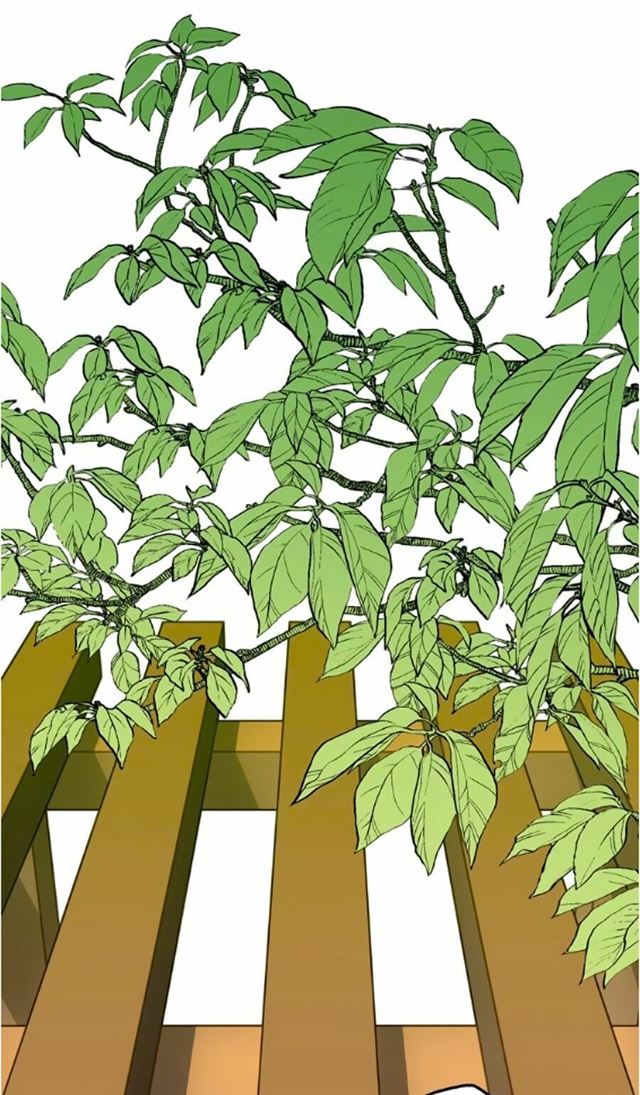 bài ca tình yêu chapter 7 31