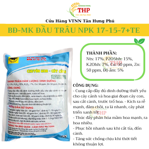 COMBO RA RỄ ĐÂM CHỒI | CHUYÊN RAU ĂN LÁ | COMBO CHĂM SÓC CÂY