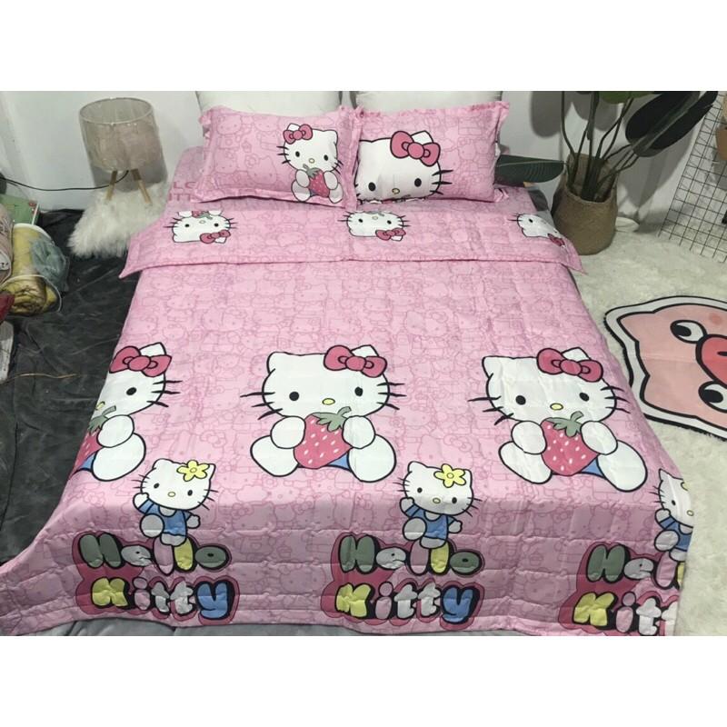 Bộ ga gối chăn trần hè cotton poly 1m6x2m