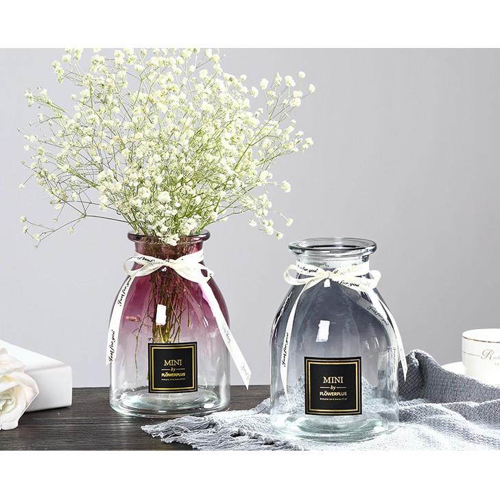 Lọ hoa, bình hoa thủy tinh cao cấp thắt nơ trang trí nội thất Mini Flower Plus Vintage