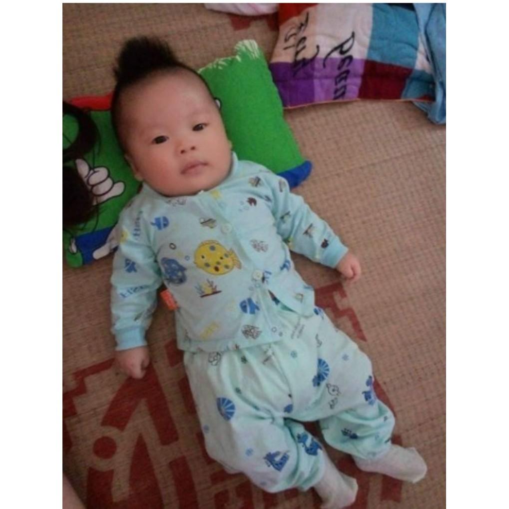 Gối Đinh Lăng cho bé, Gối làm từ lá Đinh Lăng cho trẻ