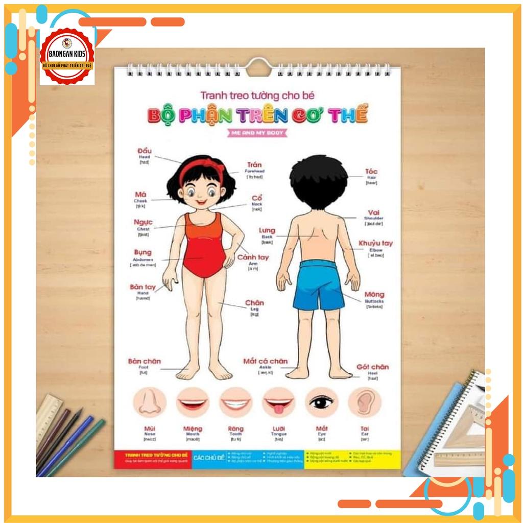 Bộ Tranh Treo Tường Song Ngữ 12 Chủ Đề Cho Bé  - Loại Lớn