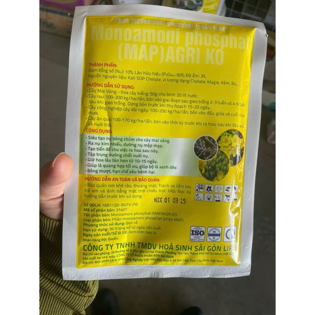 Siêu tạo nụ mai vàng (100g) Tạo mắt kim, bung nụ nhiều, to nụ mập nụ mai, bông sáng vàng đẹp