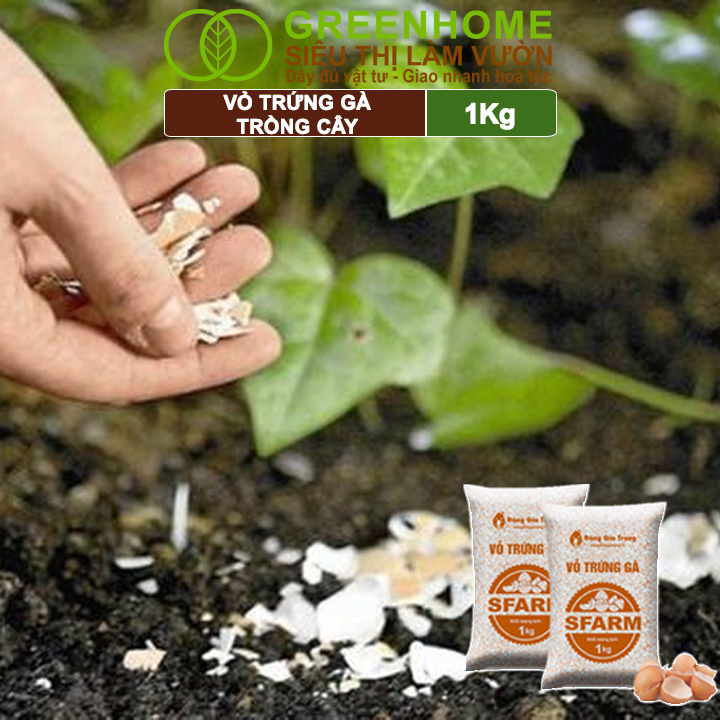 Vỏ Trứng Gà Trồng Cây Greenhome, Sfarm, Bao 1kg, Phân Bón Hữu Cơ, Ngăn Chặn Ốc Sên, Cải Tạo Đất, Chống Côn Trùng, Sâu Bọ