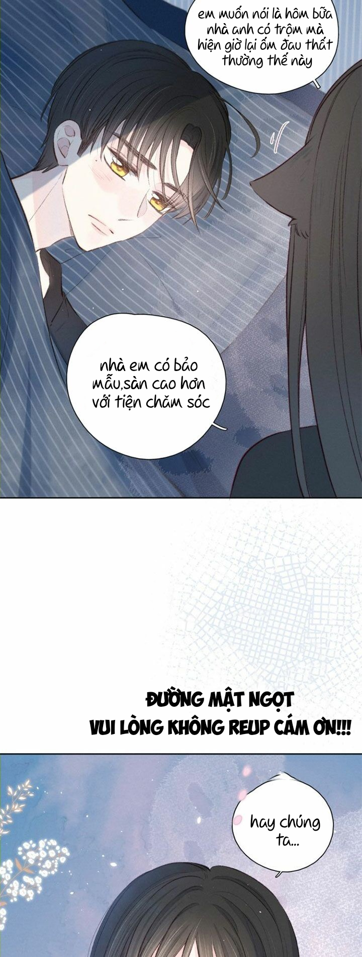 nỗi buồn của hoa cẩm tú cầu chapter 40 17