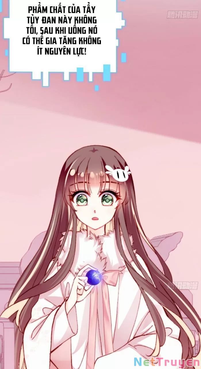 lại bị bệnh chiều chuộng quấn lấy chapter 31 4