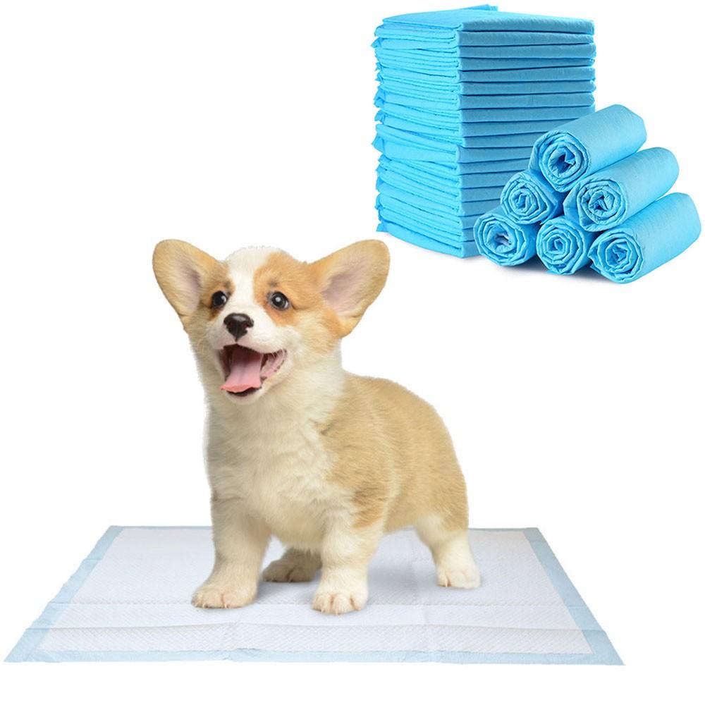 Tấm lót vệ sinh cho chó mèo Ngáo Và Gâu Đần kích cỡ 33x45cm (bịch 100 tấm)