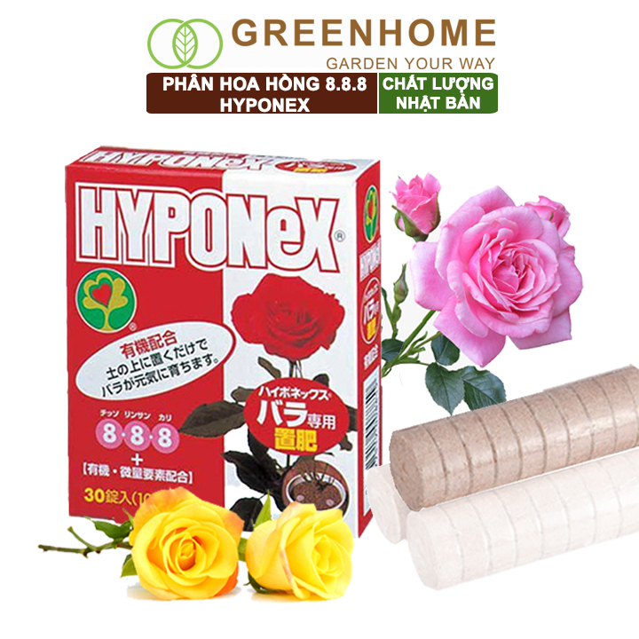 Phân bón hoa hồng Nhật, Hyponex 8.8.8, giúp thân to khoẻ, nhiều chồi, hoa to, lâu tàn |Greenhome