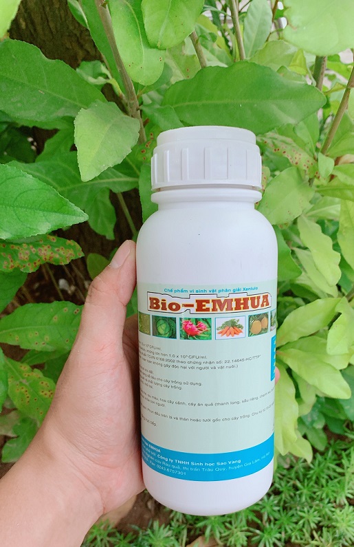Chế phẩm sinh học BIO – EMHUA - Xử Lý Photpho trong Đất - Chai 500ml
