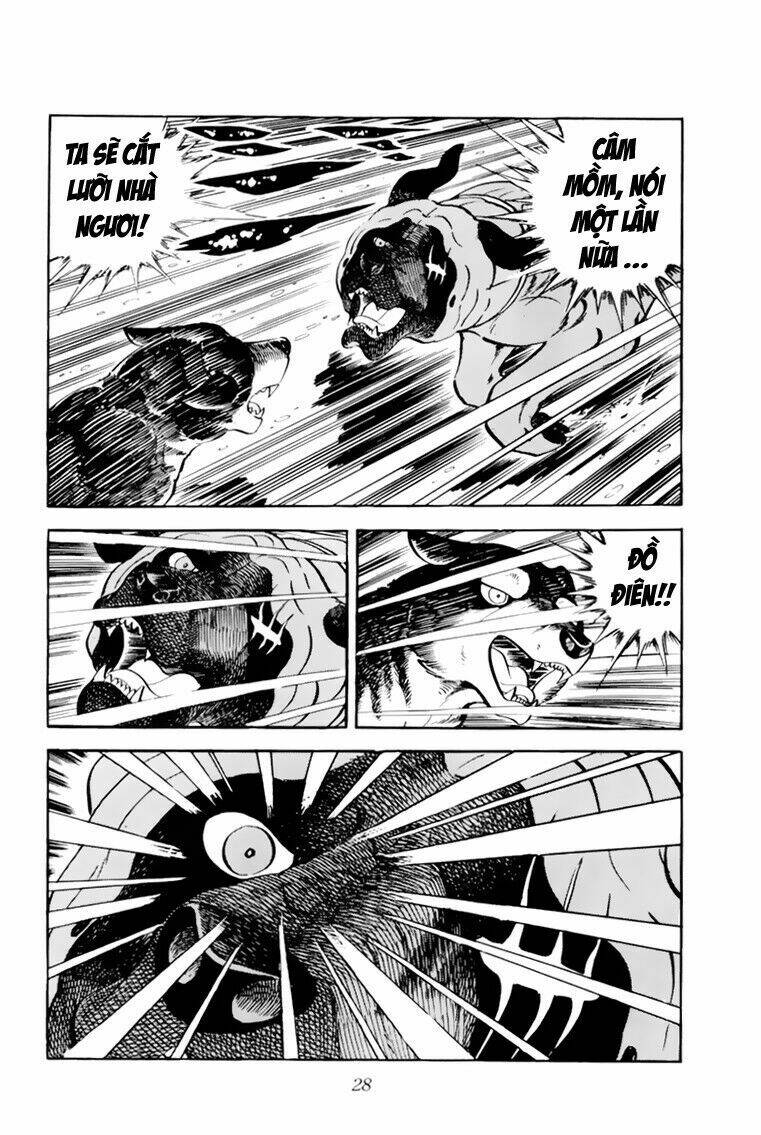 chú chó có nghĩa - ginga nagareboshi gin chapter 31 28