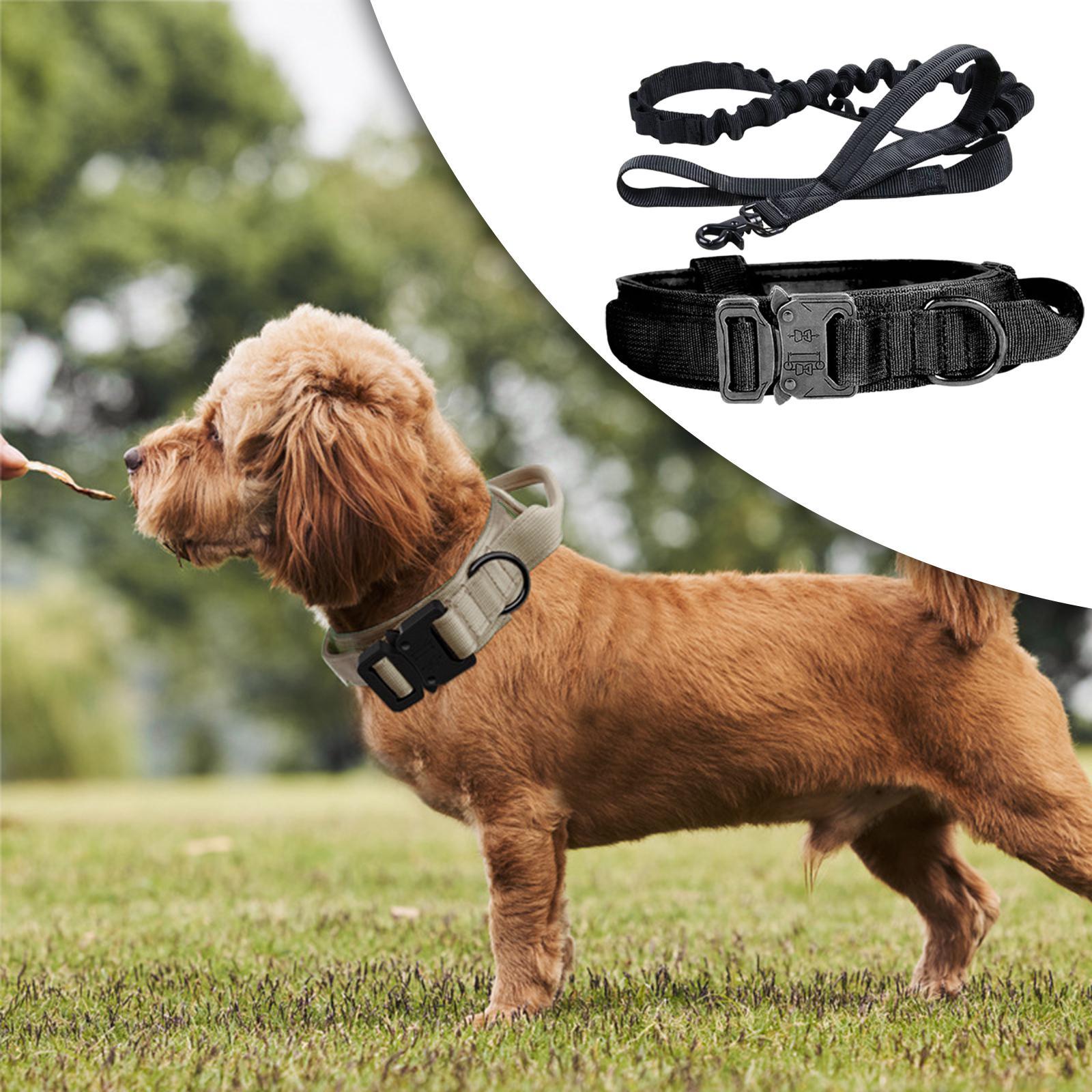 And Leash Set with Handle w/ Metal Buckle Adjustable
