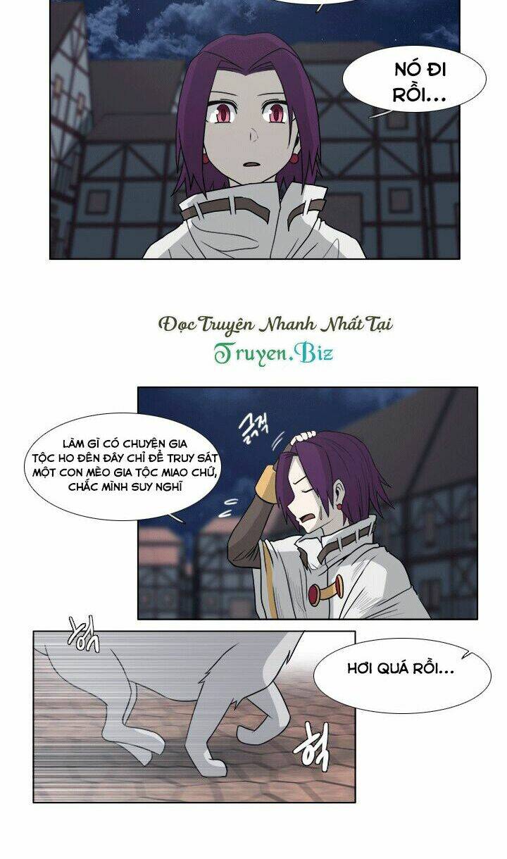 m. m. g. chapter 11 3