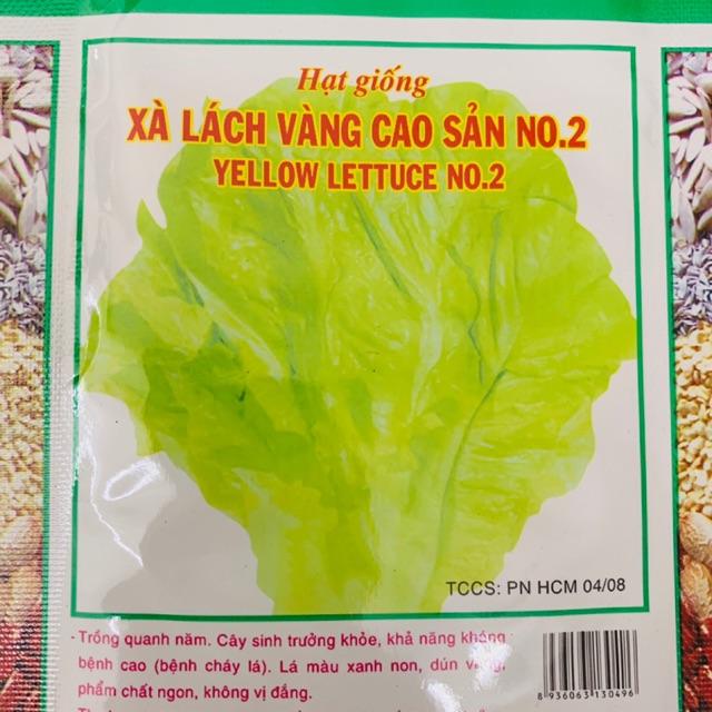 Hạt giống xà lách cao sản