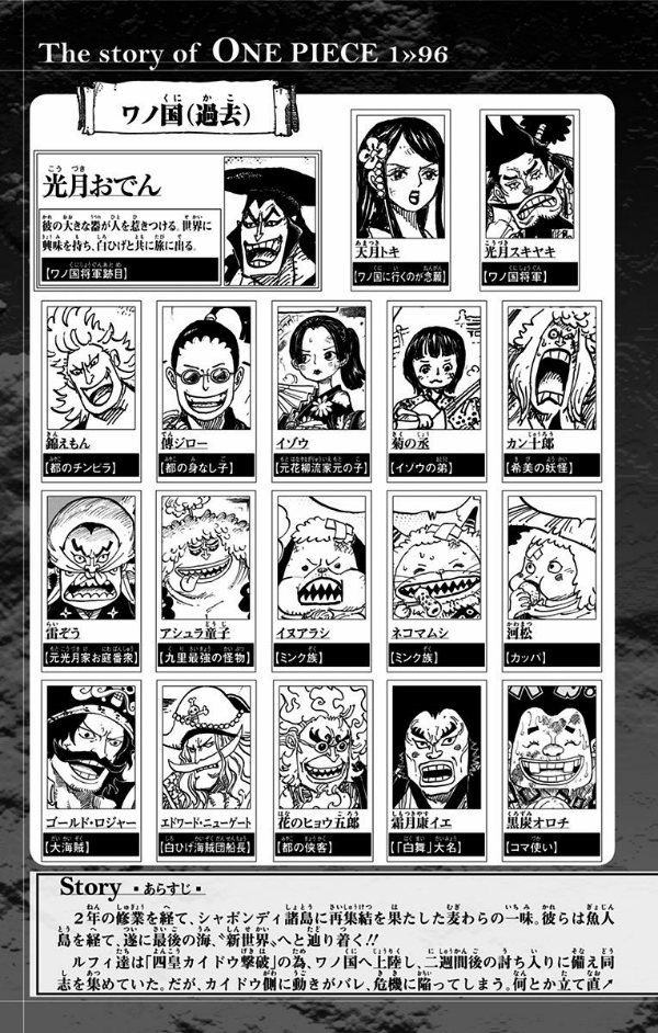 One Piece 96