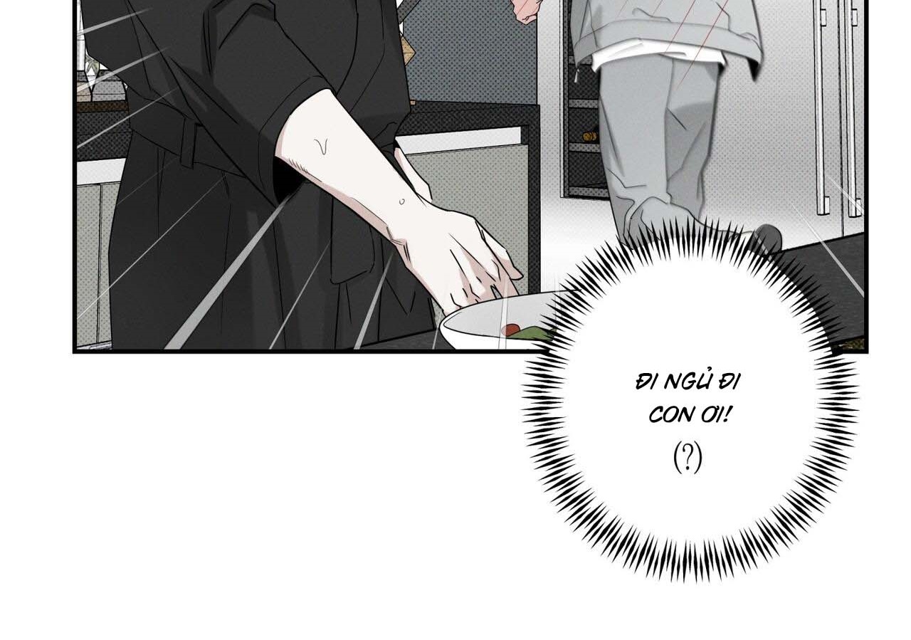 chàng giao pizza và gold palace chapter 41 171