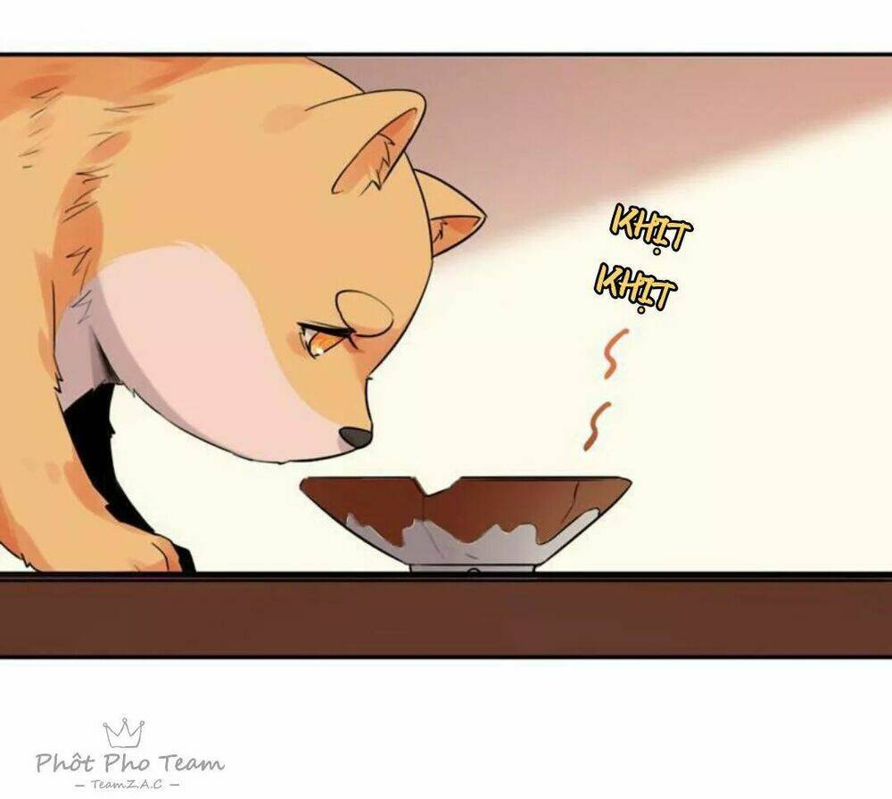 hôm nay lại cũng không thể biến thành người được chapter 5 13