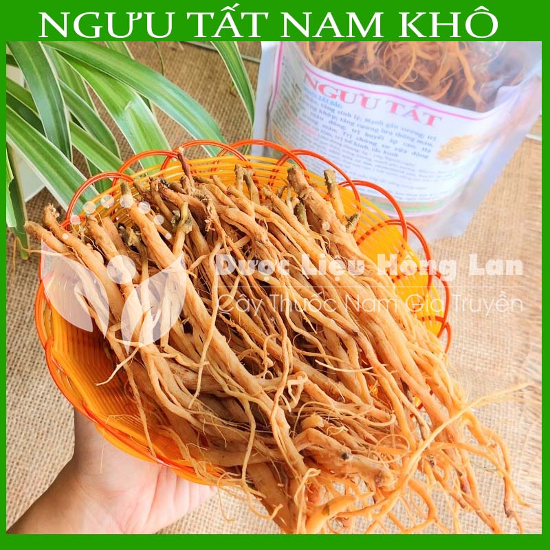 500g Ngưu Tất Nam sấy khô loại 1