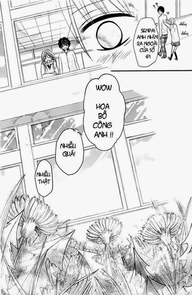 kimi wa maru de, ano hana no you de chapter 3 26