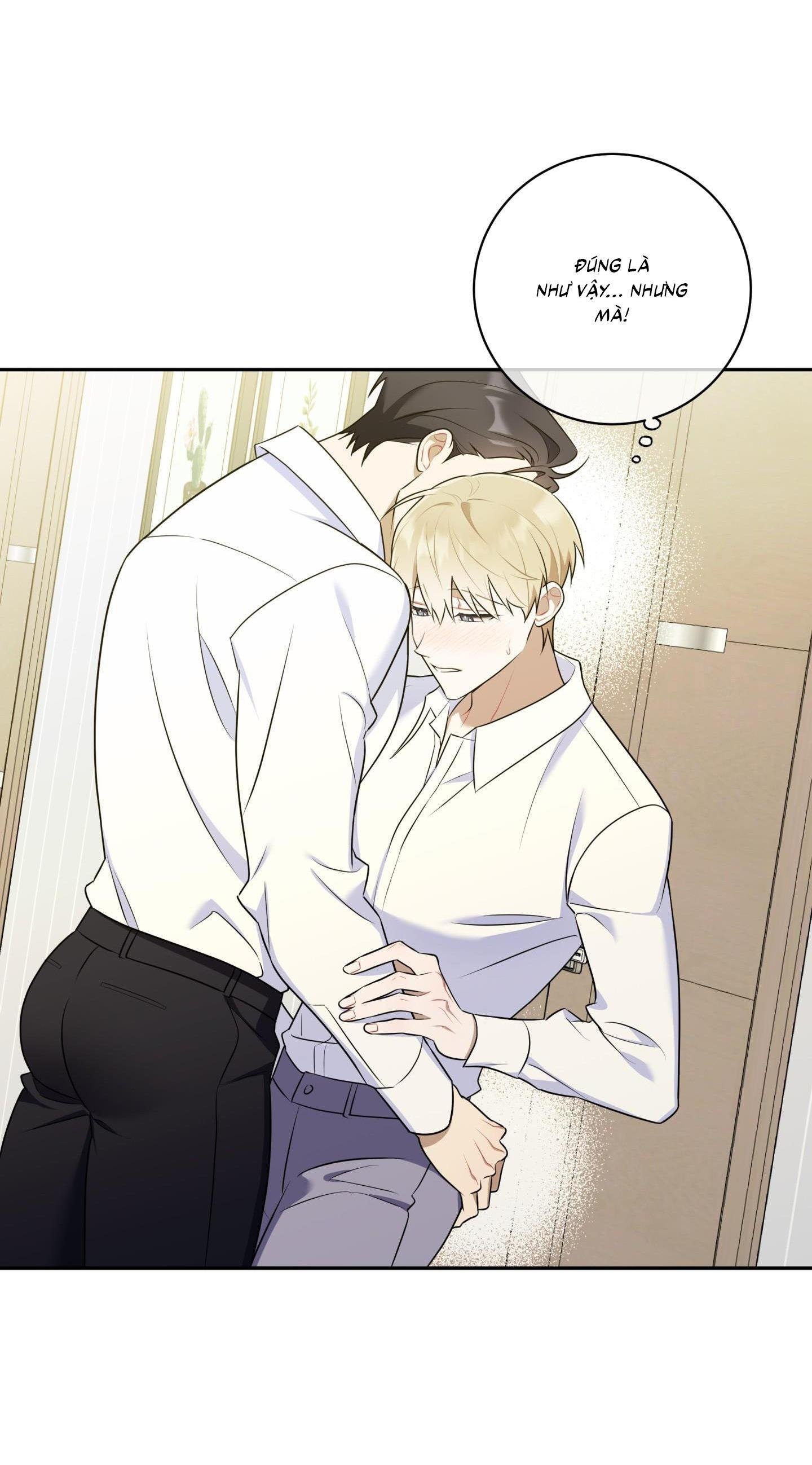 bắt tay hả, thôi bỏ đi! chapter 31 28