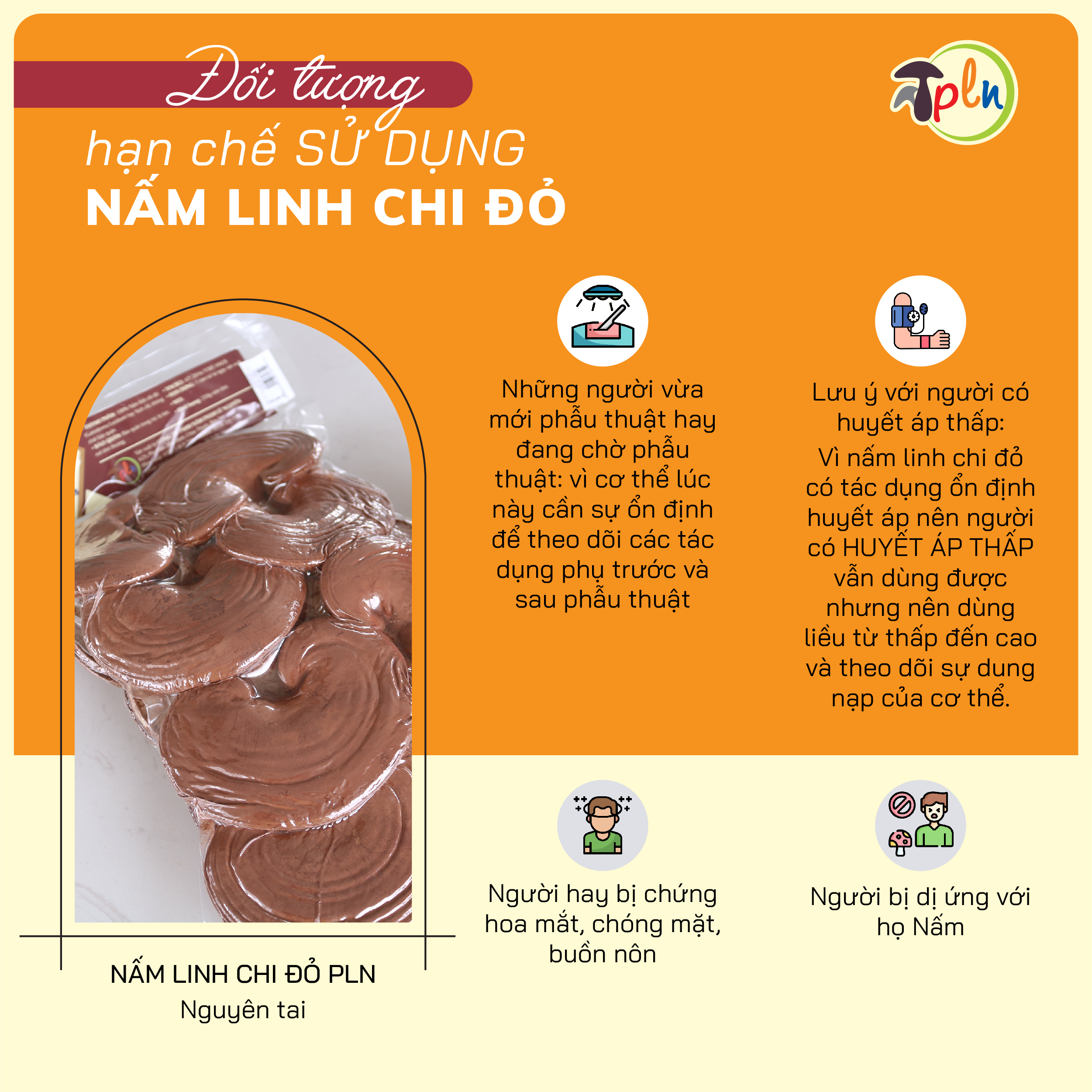 NẤM LINH CHI ĐỎ PLN - Nguyên tai. Hộp 500g - Xích chi