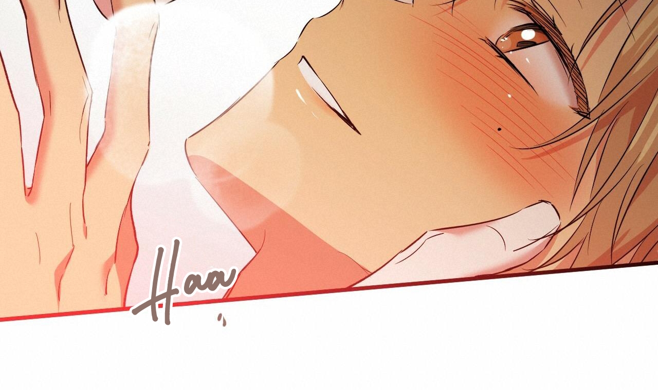 đàn thỏ của habibi chapter 53 222