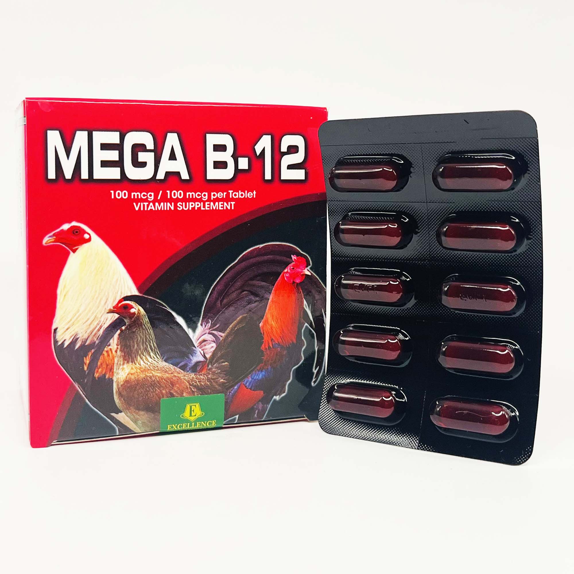 Mega B12 Nuôi Gà Tơ Chế Độ Đá Nhập Philipines