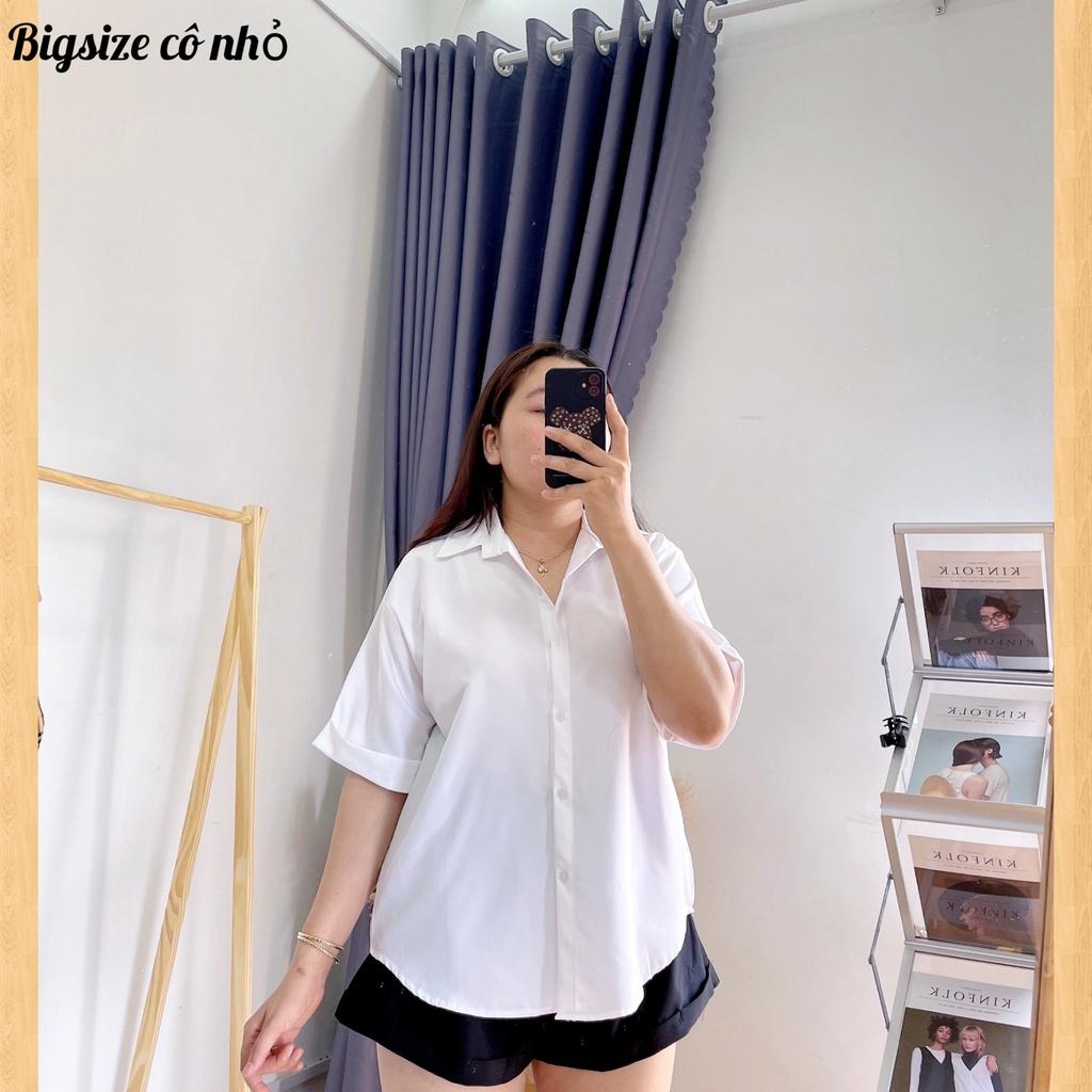 Áo sơ mi bigsize nữ tay ngắn kiểu xẻ lưng có cúc, Áo kiểu big size nữ AT10