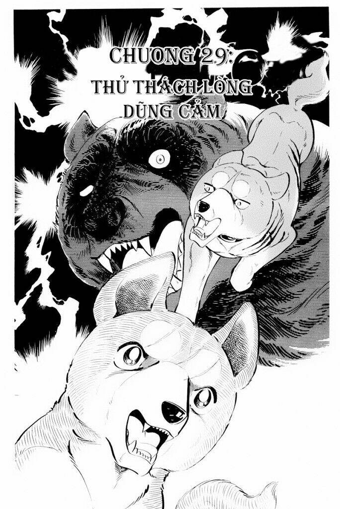 chú chó có nghĩa - ginga nagareboshi gin chapter 29.1 1