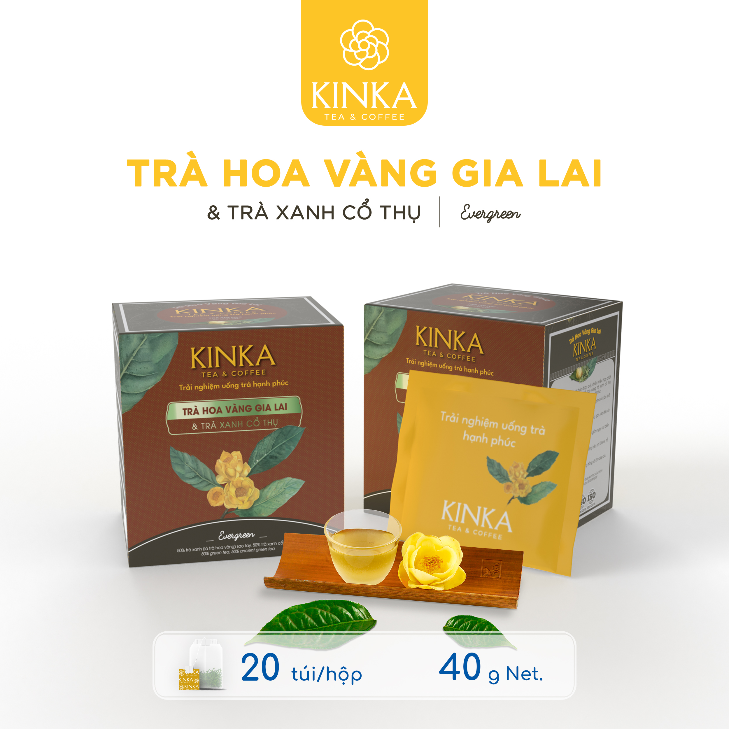 EVERGREEN - TRÀ HOA VÀNG GIA LAI &amp; TRÀ XANH CỔ THỤ