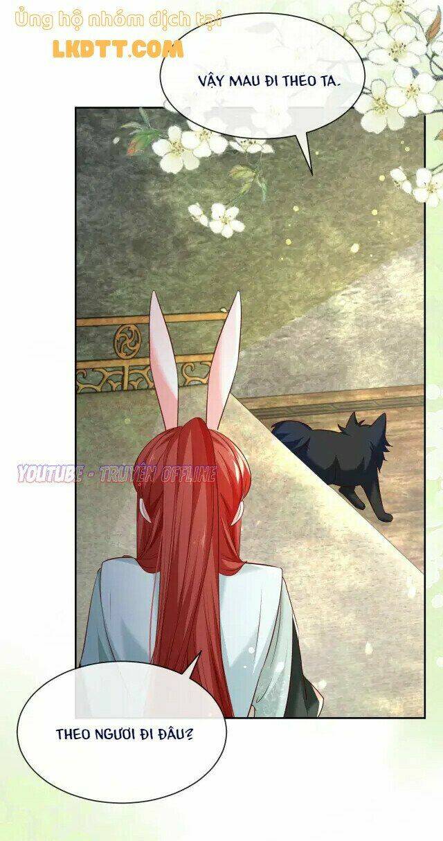 hắc hóa nam chính trực tuyến nuôi thỏ chapter 29 30