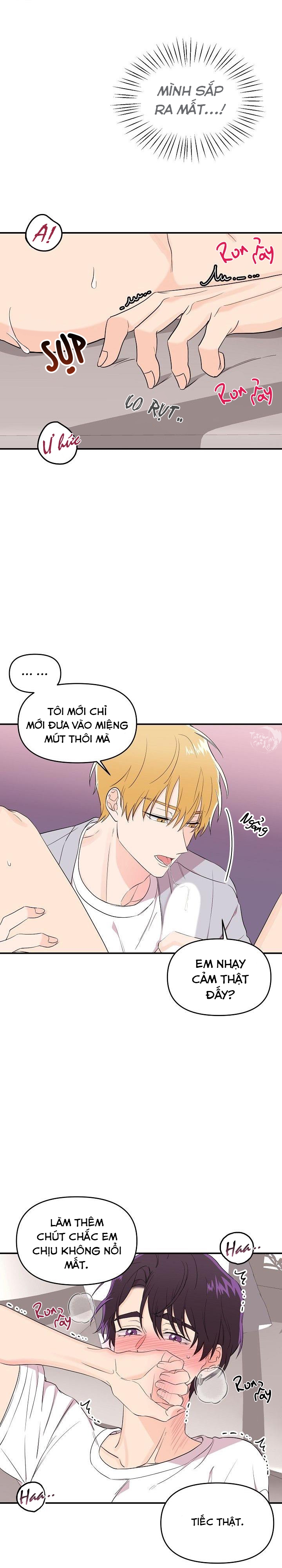 hoa ly hổ chapter 19 13