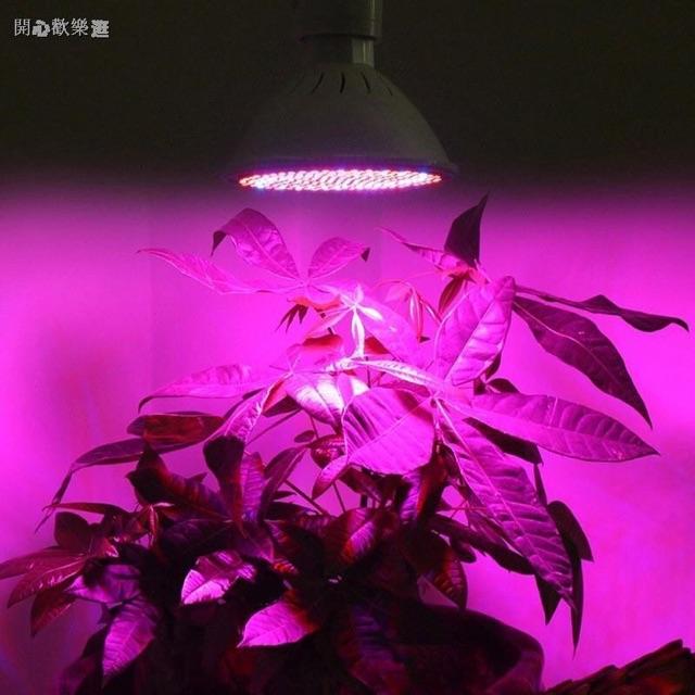 Đèn LED quang phổ toàn phần trồng cây 126 led 1 cái